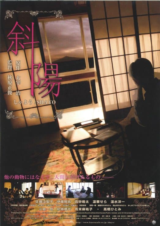 斜陽