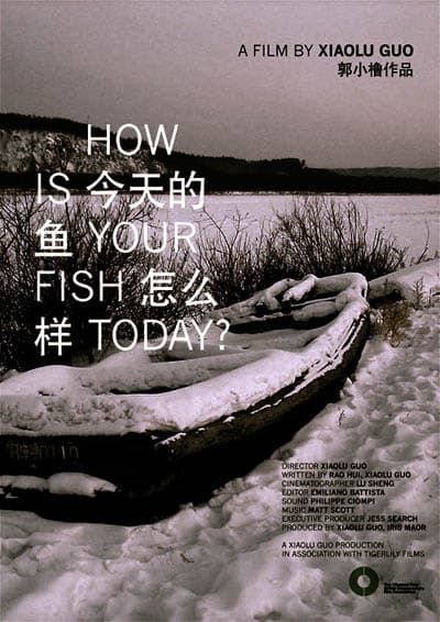 今天的鱼怎么样？