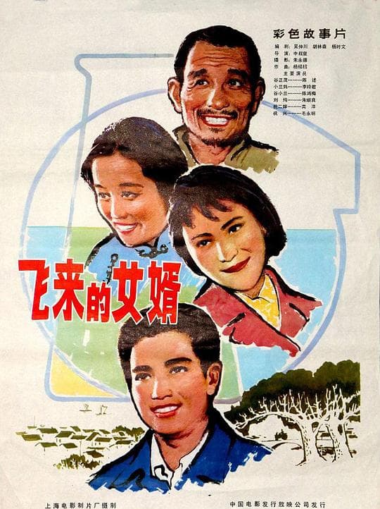 飞来的女婿