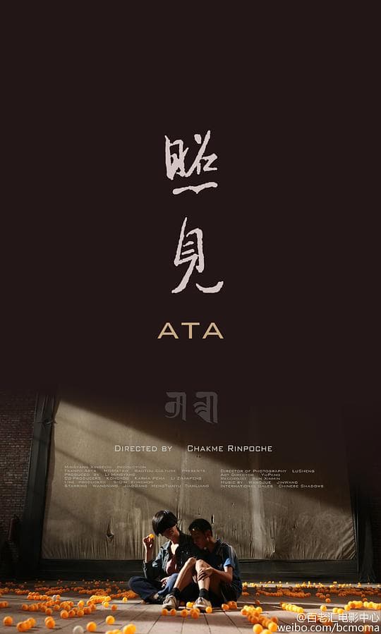 照见