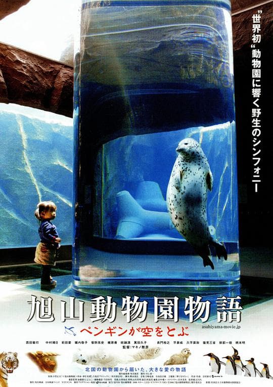 Penguins in the sky - Asahiyama zoo