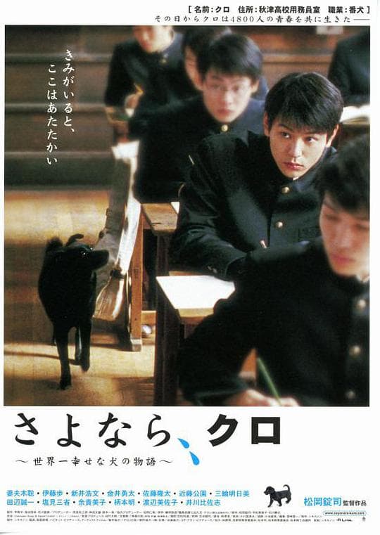 再见!小黑