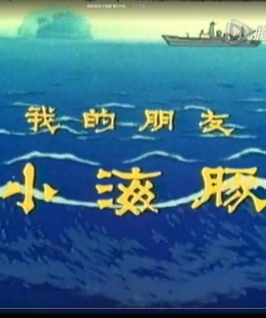 我的朋友小海豚