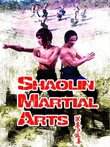 Shaolin Martial Arts