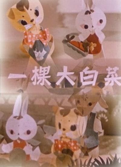 一棵大白菜