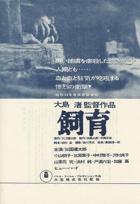 饲育