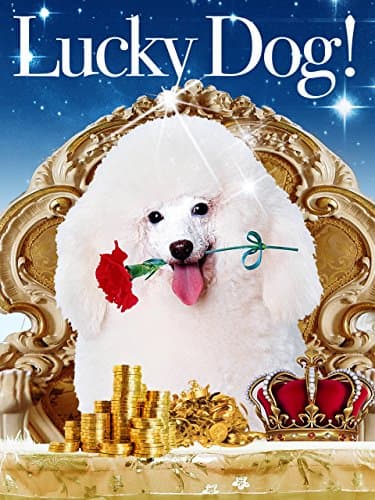 Lucky Dog