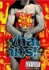 best of red hot chili peppers what hits!?/红辣椒乐队精选集