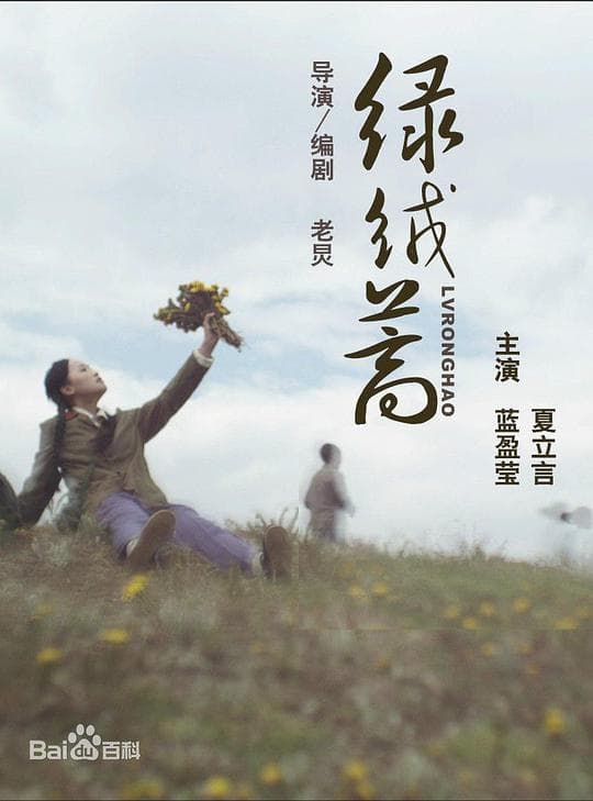 绿绒蒿