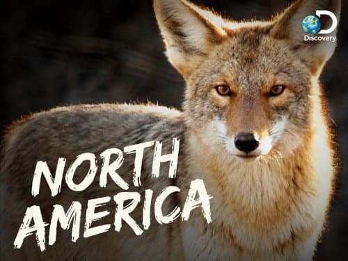 North America