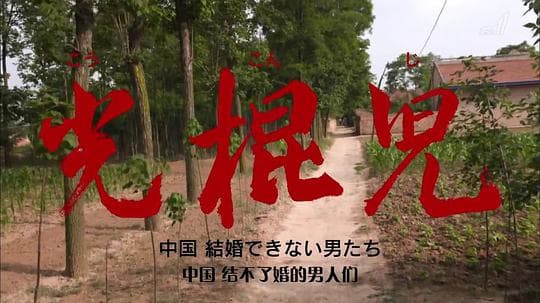 光棍儿：中国结不了婚的男人们