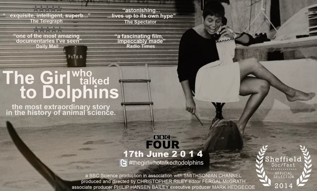 The Girl Who Talked to Dolphins