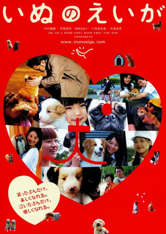 All About My Dog