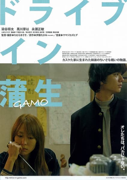 Drive in Gamo