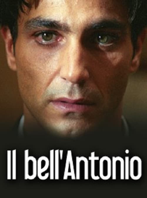 Handsome Anthony