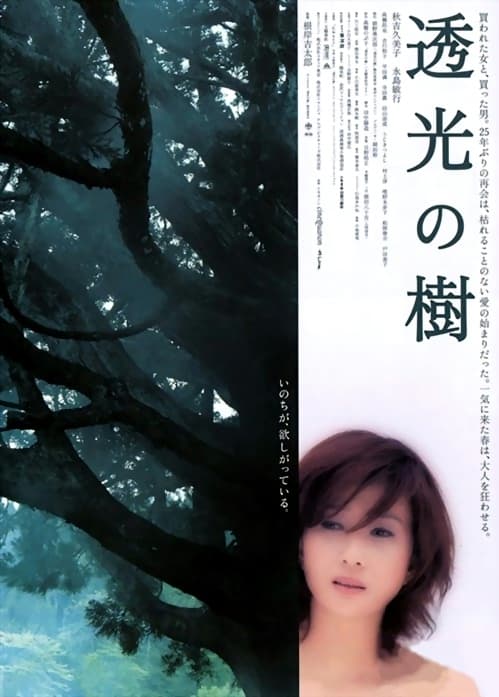 Toukou no ki
