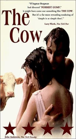 The Cow