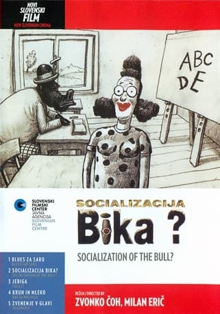 Socialisation of a Bull