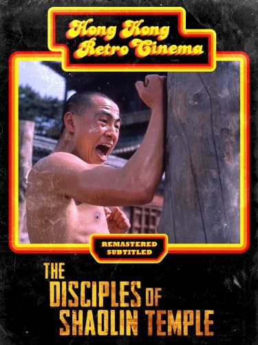 Disciples of Shaolin Temple
