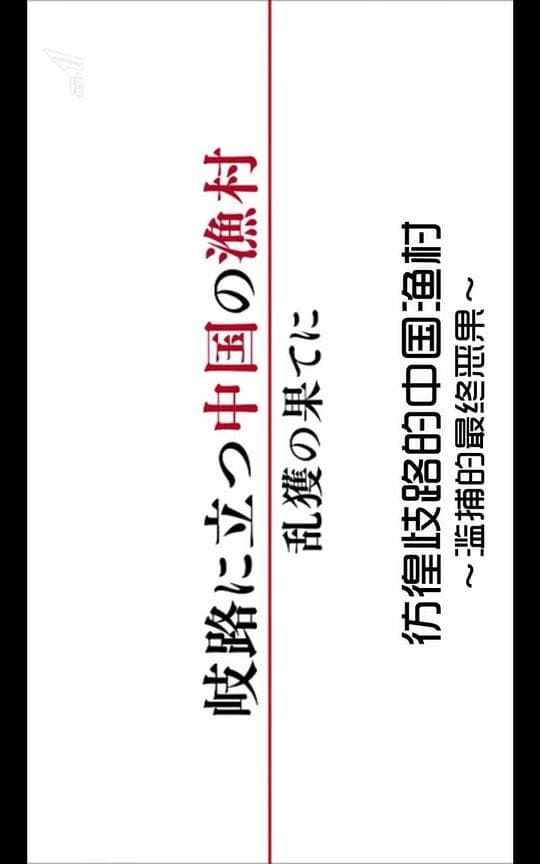 彷徨歧路的中国渔村 ～滥捕的最终恶果～