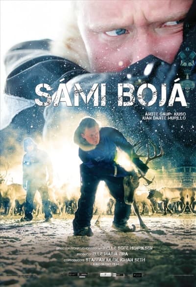 Sámi Bojá