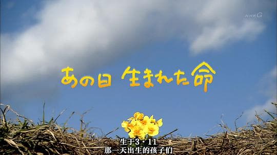 生于3·11 那一天出生的孩子们