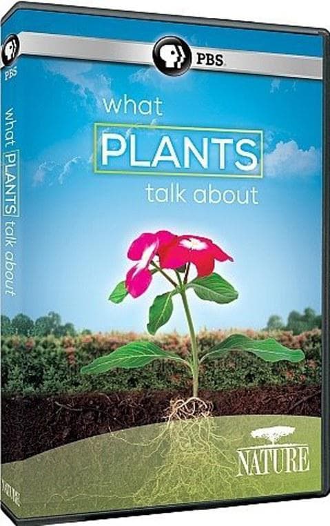 PBS 自然：植物间的对话