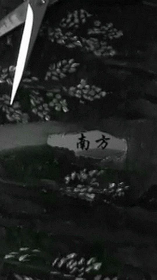 南方