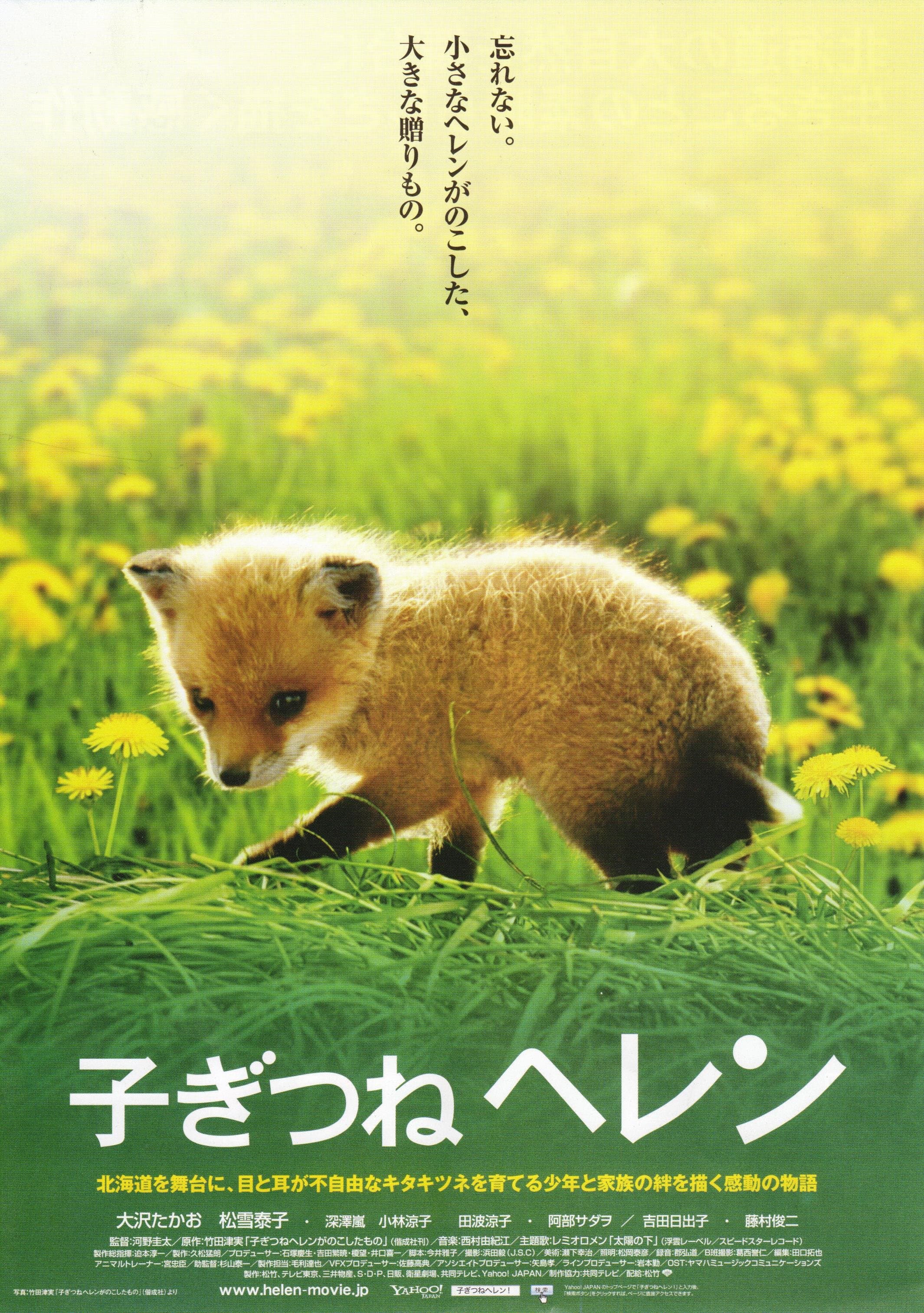 Helen the Baby Fox