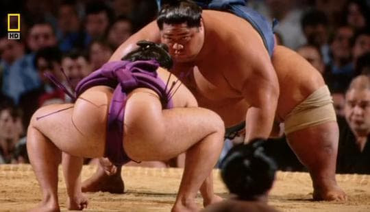 透视内幕：相扑传承物语