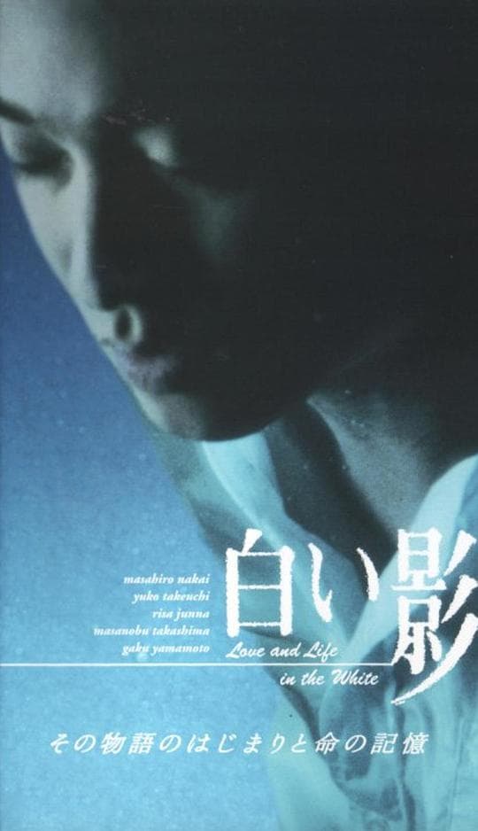 白影SP