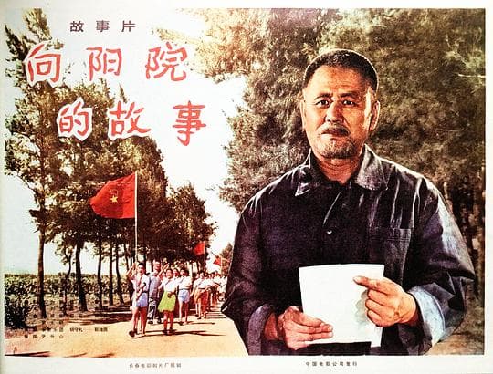 向阳院的故事