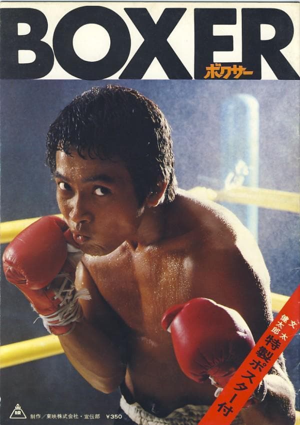 The Boxer