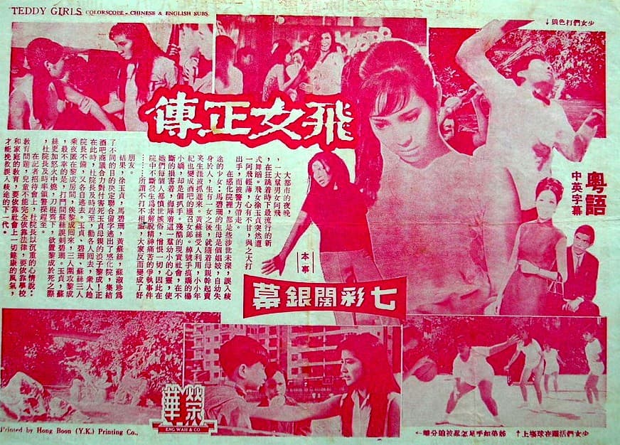 Fei nu zheng zhuan