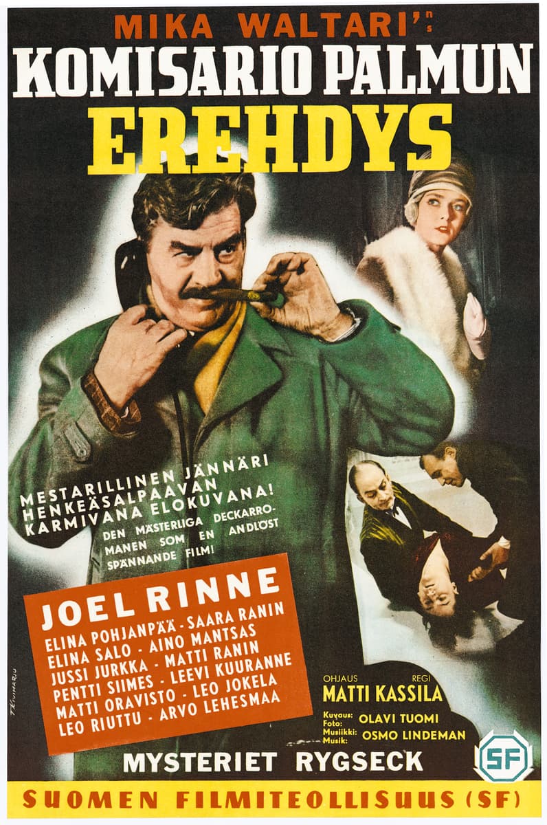 Inspector Palmu's Mistake