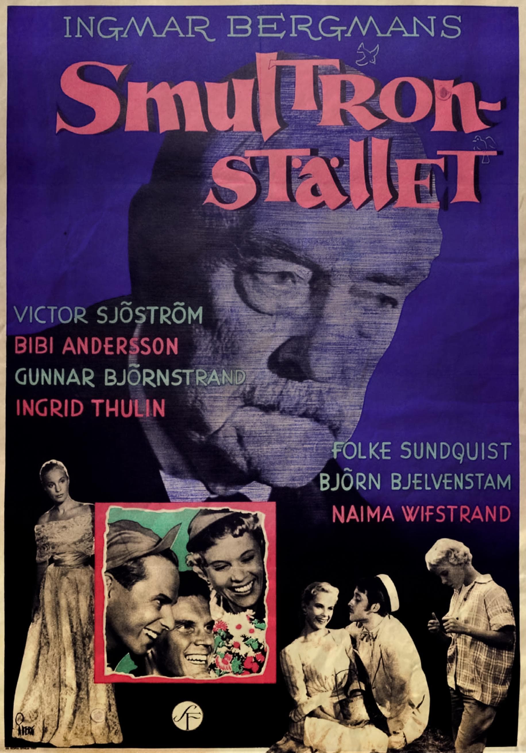 Wild Strawberries