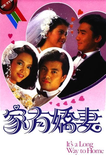 家有娇妻