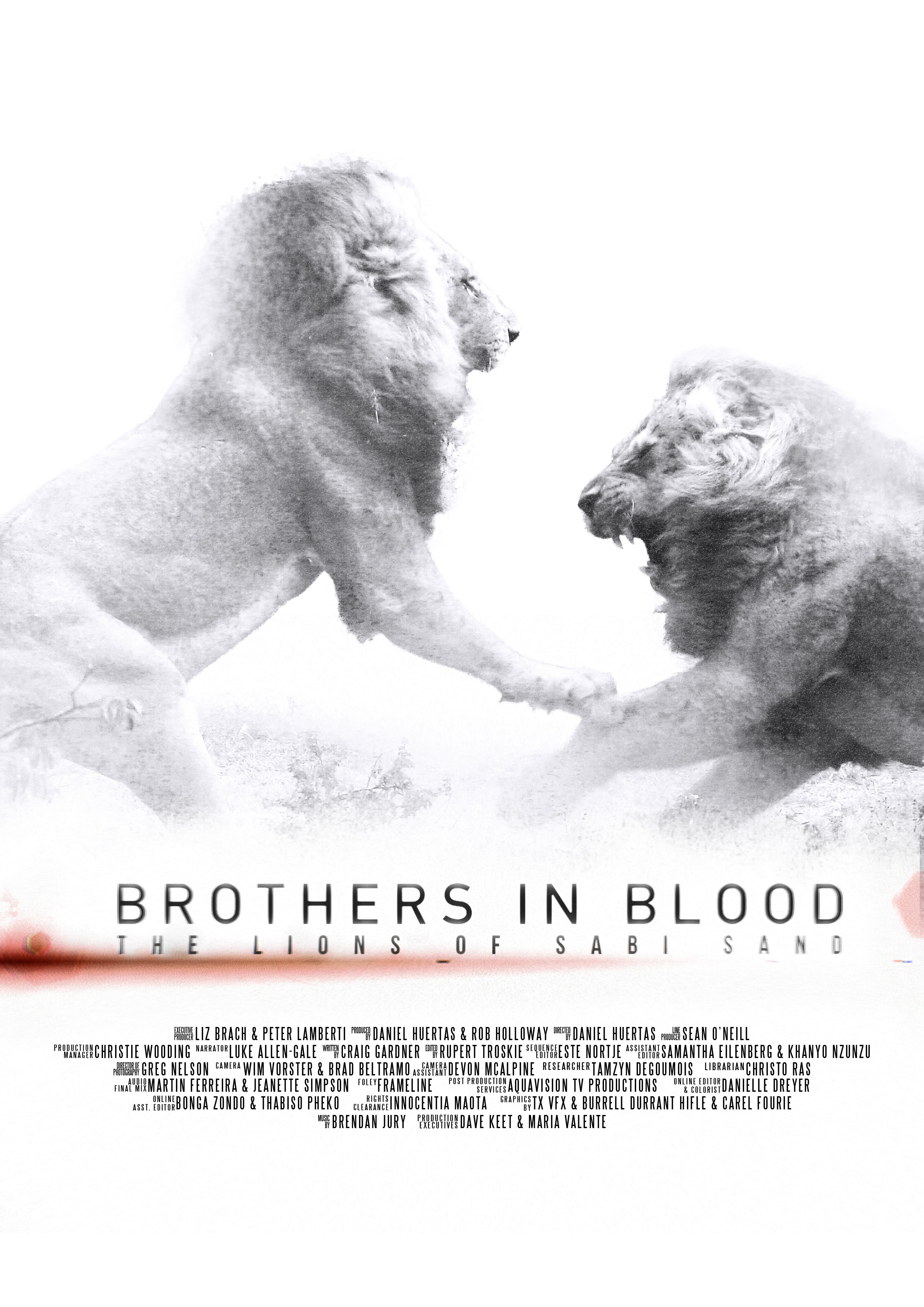 Brothers in Blood: The Lions of Sabi Sand