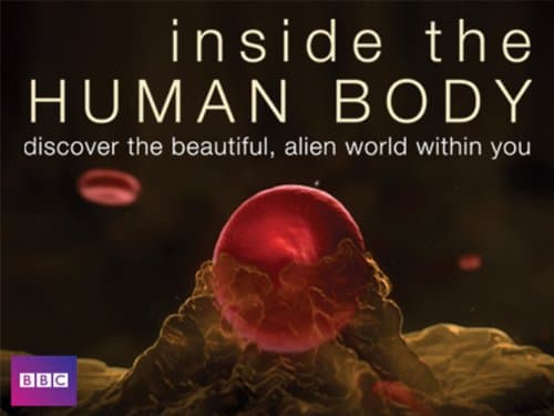 Inside the Human Body