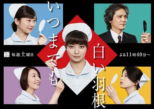 永远的白羽毛