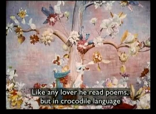 我的绿鳄鱼