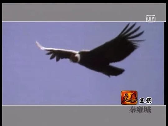 中国十大王朝