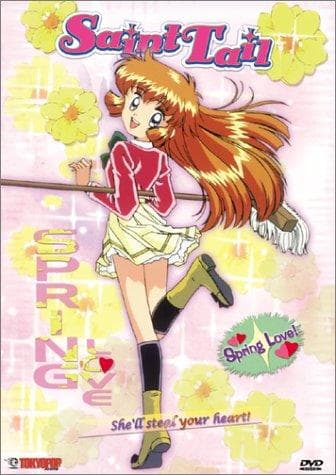 Mysterious Thief Saint Tail