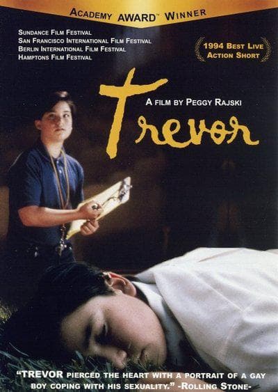 男孩日记