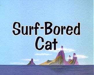 冲浪猫