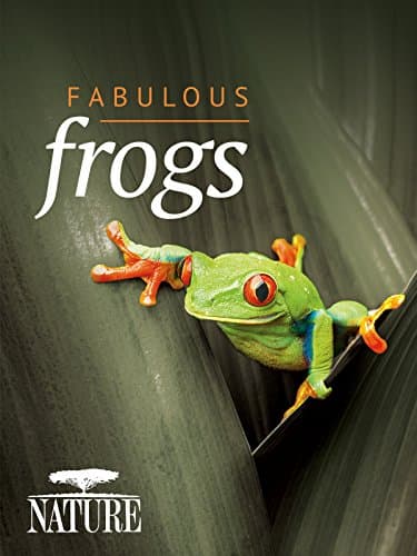 Fabulous Frogs