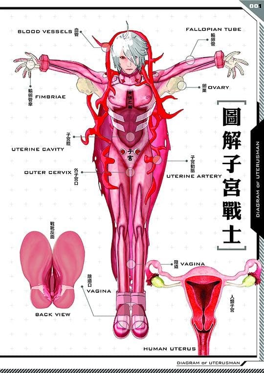 子宫战士