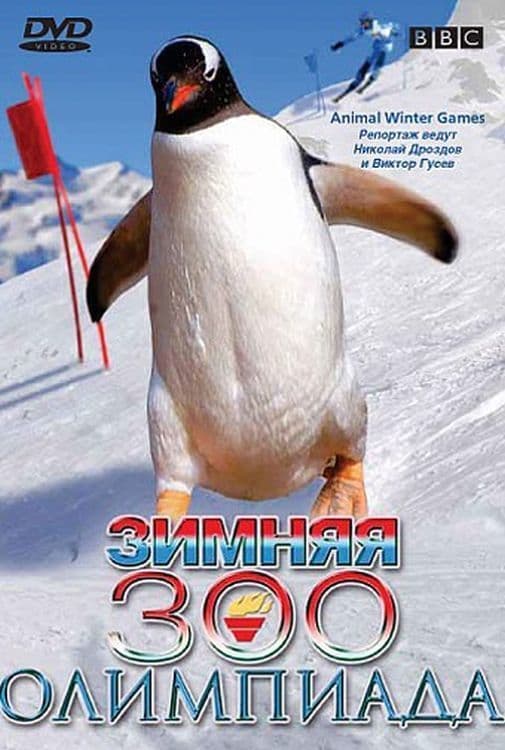 Animal Winter Olympics