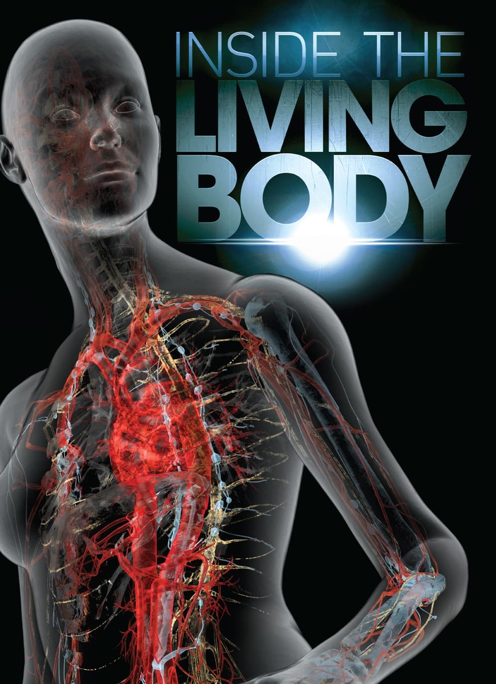 Inside the Living Body