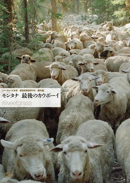 香草